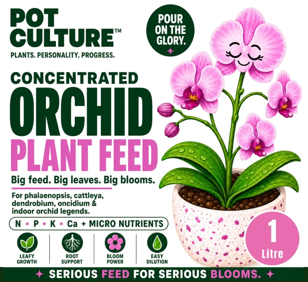 Concentrated Orchid Plant Feed
