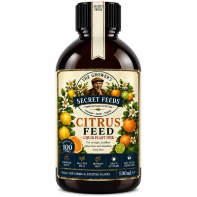 Citrus Feed 500ml